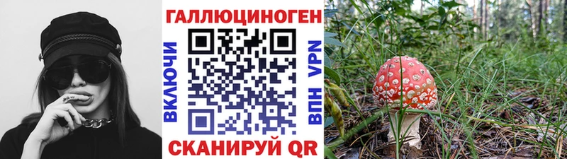 hydra как зайти  Ишимбай  Псилоцибиновые грибы Psilocybine cubensis 